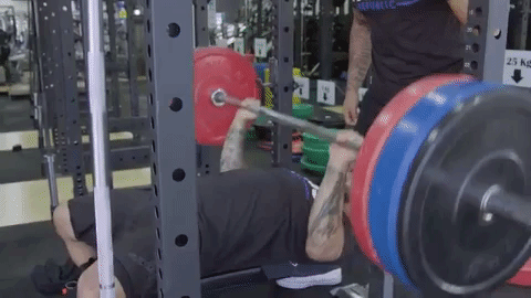 Bench Press