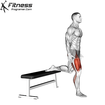 Bulgarian Split Squat