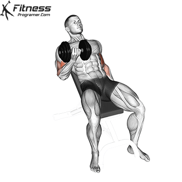 Incline Dumbbell Curl