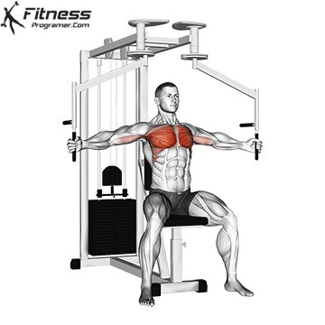 Pec Deck Machine