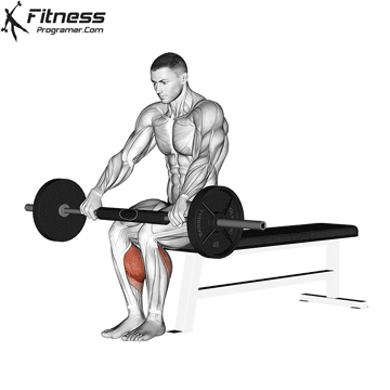 Seated Calf Raises