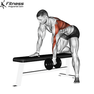 Single Arm Dumbbell Row