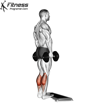 Standing Calf Raises