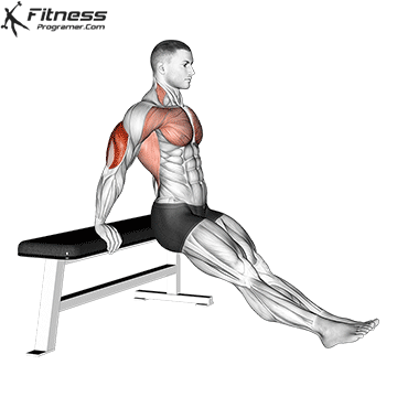 Tricep Dips