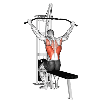 Wide Grip Lat Pulldown
